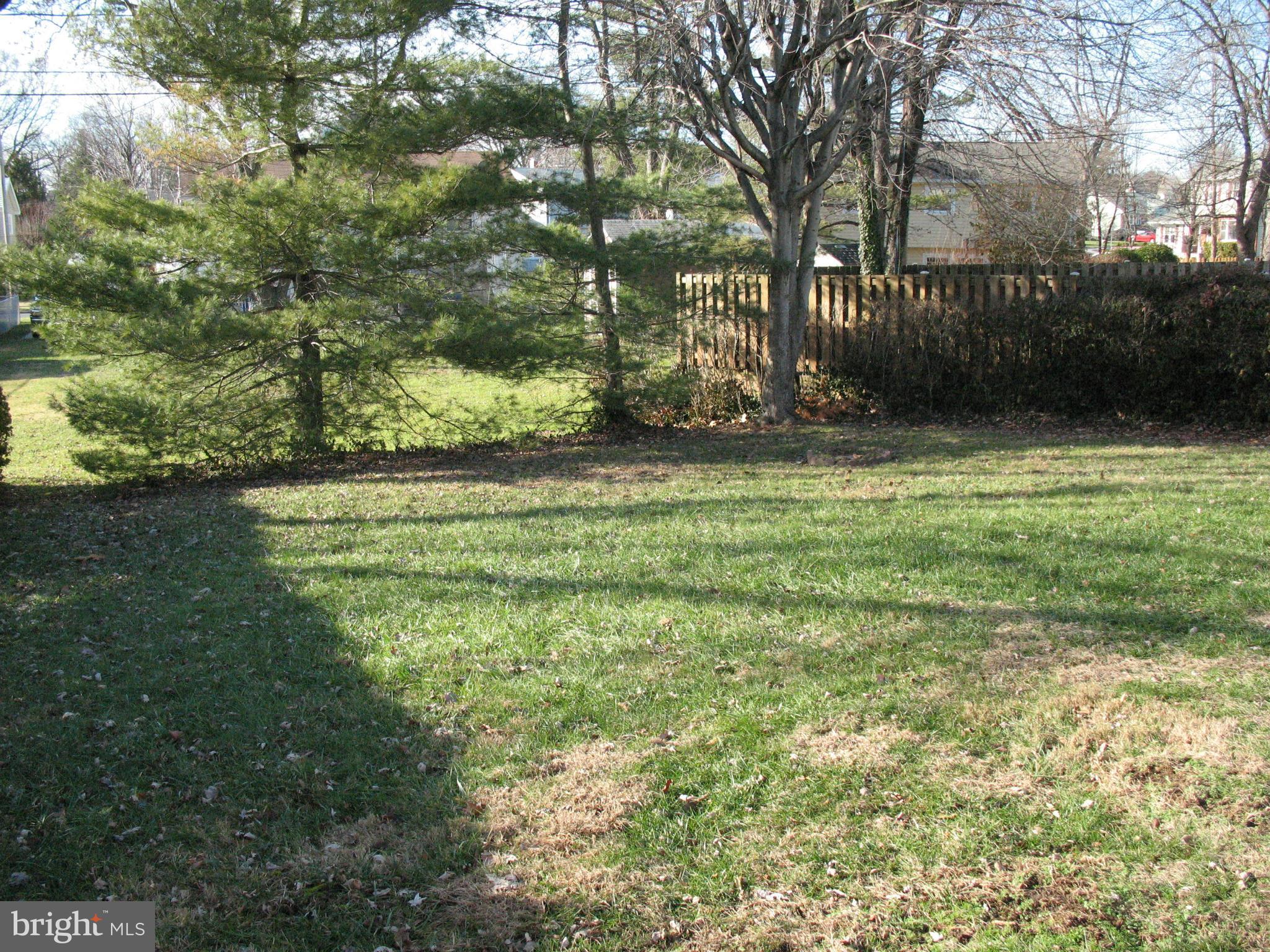 9012 Tammy Road Baltimore, MD 21236 - Photo 3 of 8 a view of outdoor space with garden and trees