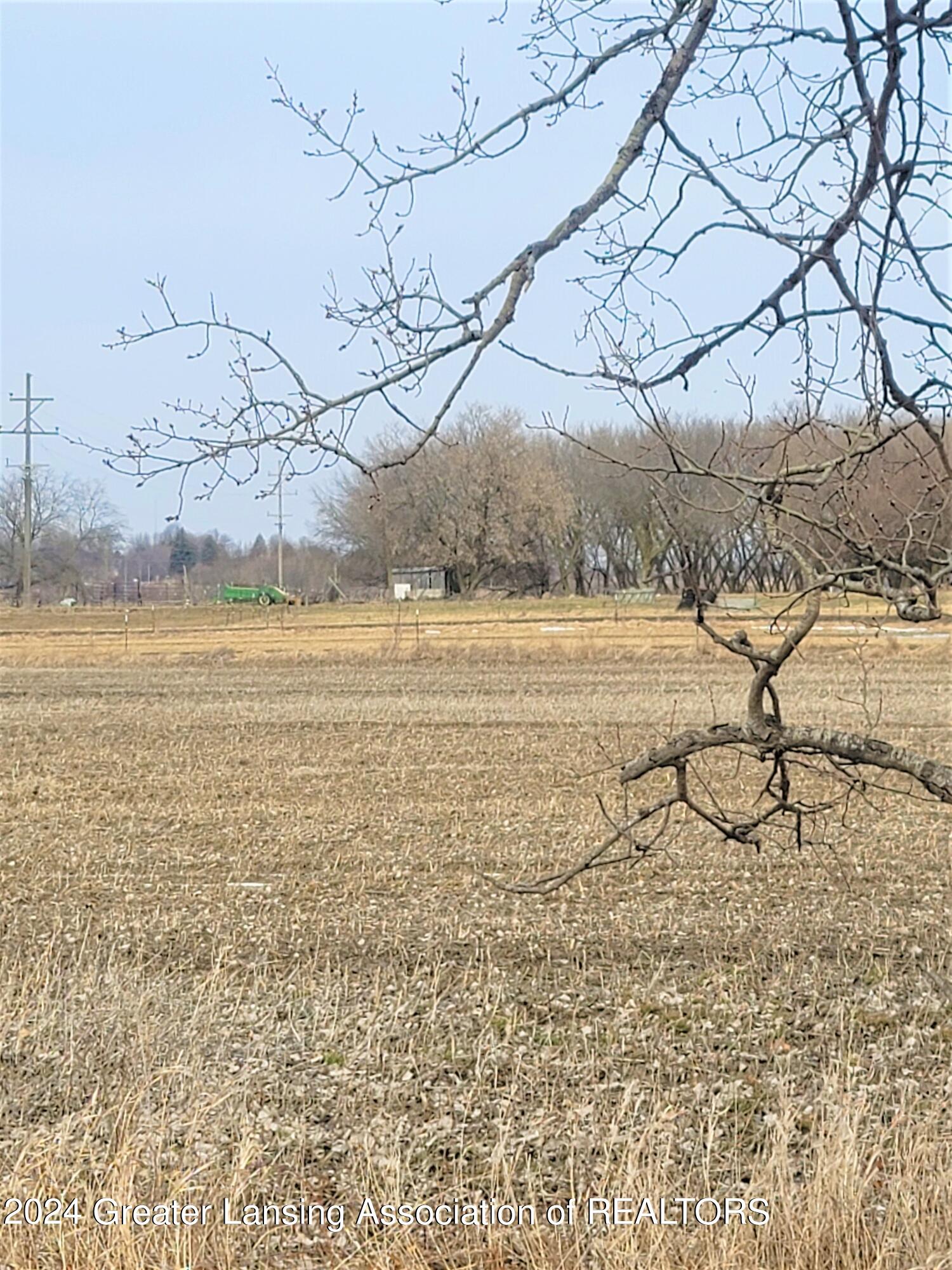 9105 East Kinley Road Ovid, MI 48866 - Photo 1 of 1 Road View