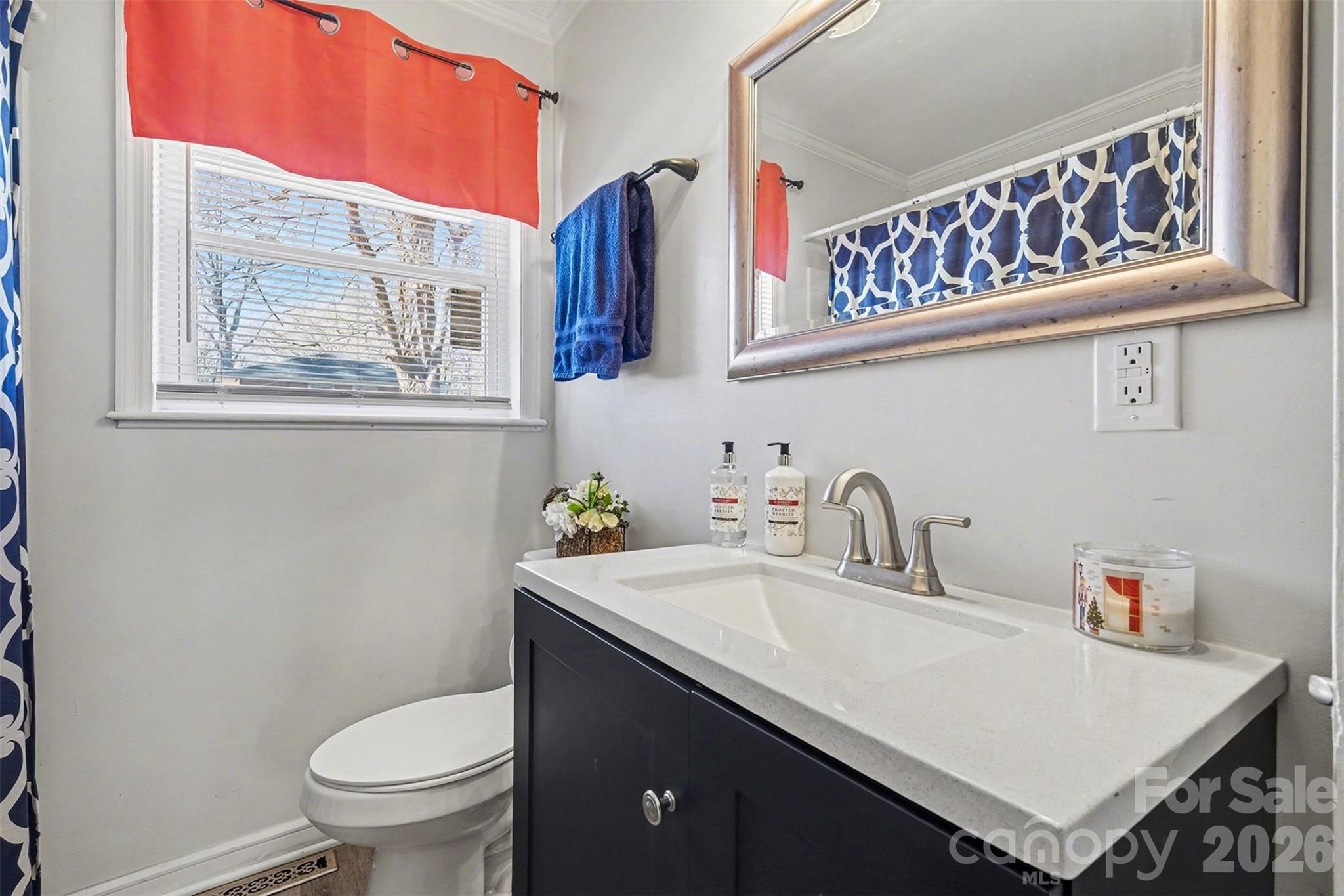 216 Malcolm Road Salisbury, NC 28144 - Photo 23 of 38 a bathroom with a sink a toilet and a mirror