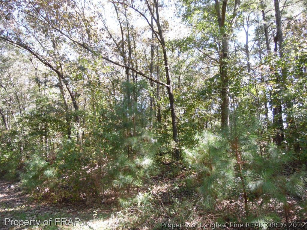 Countryside Road Eastover, NC 28312 - Photo 3 of 6 Gallery Image 3