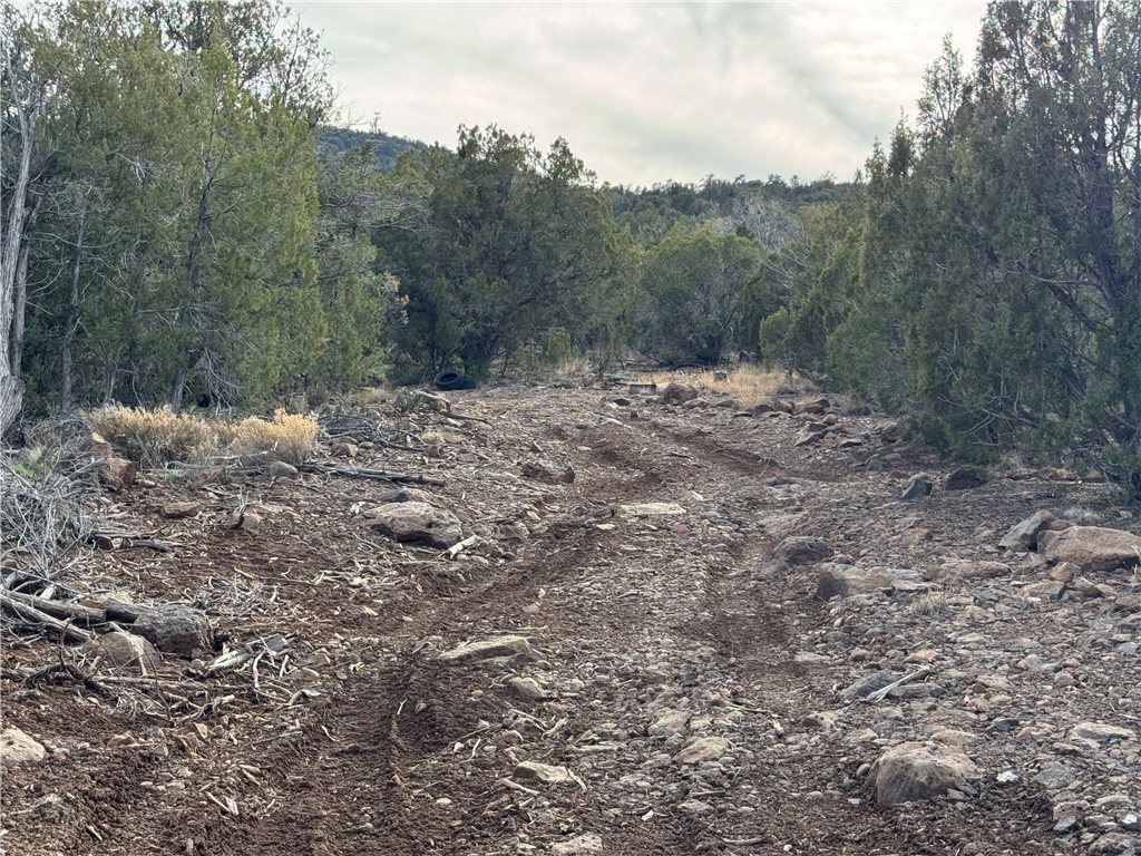 34745 West Running Shadow Road Seligman, AZ 86337 - Photo 40 of 52