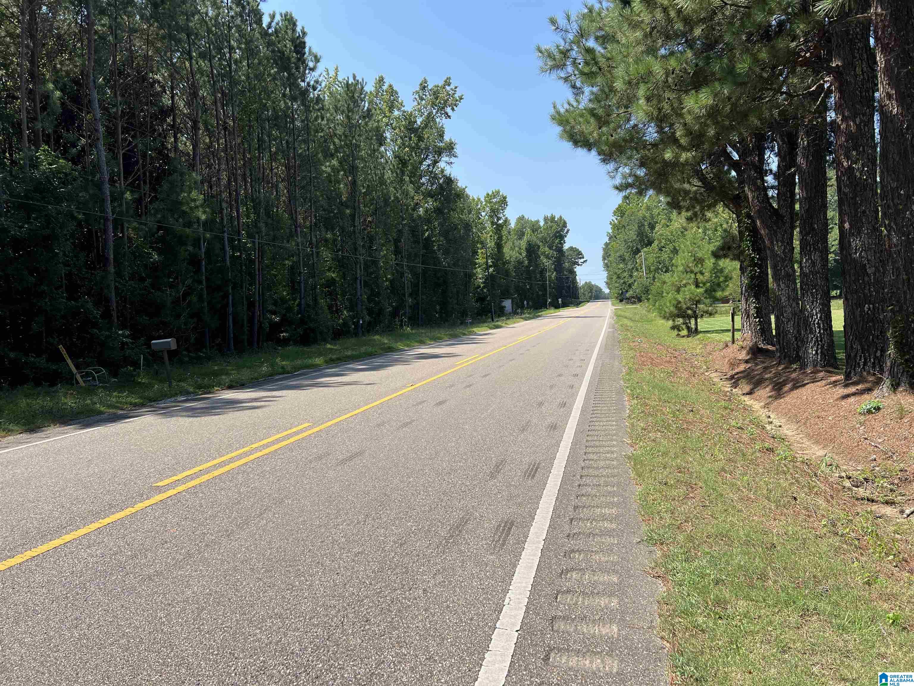 4440 Highway 22 Stanton, AL 36790 - Photo 5 of 7