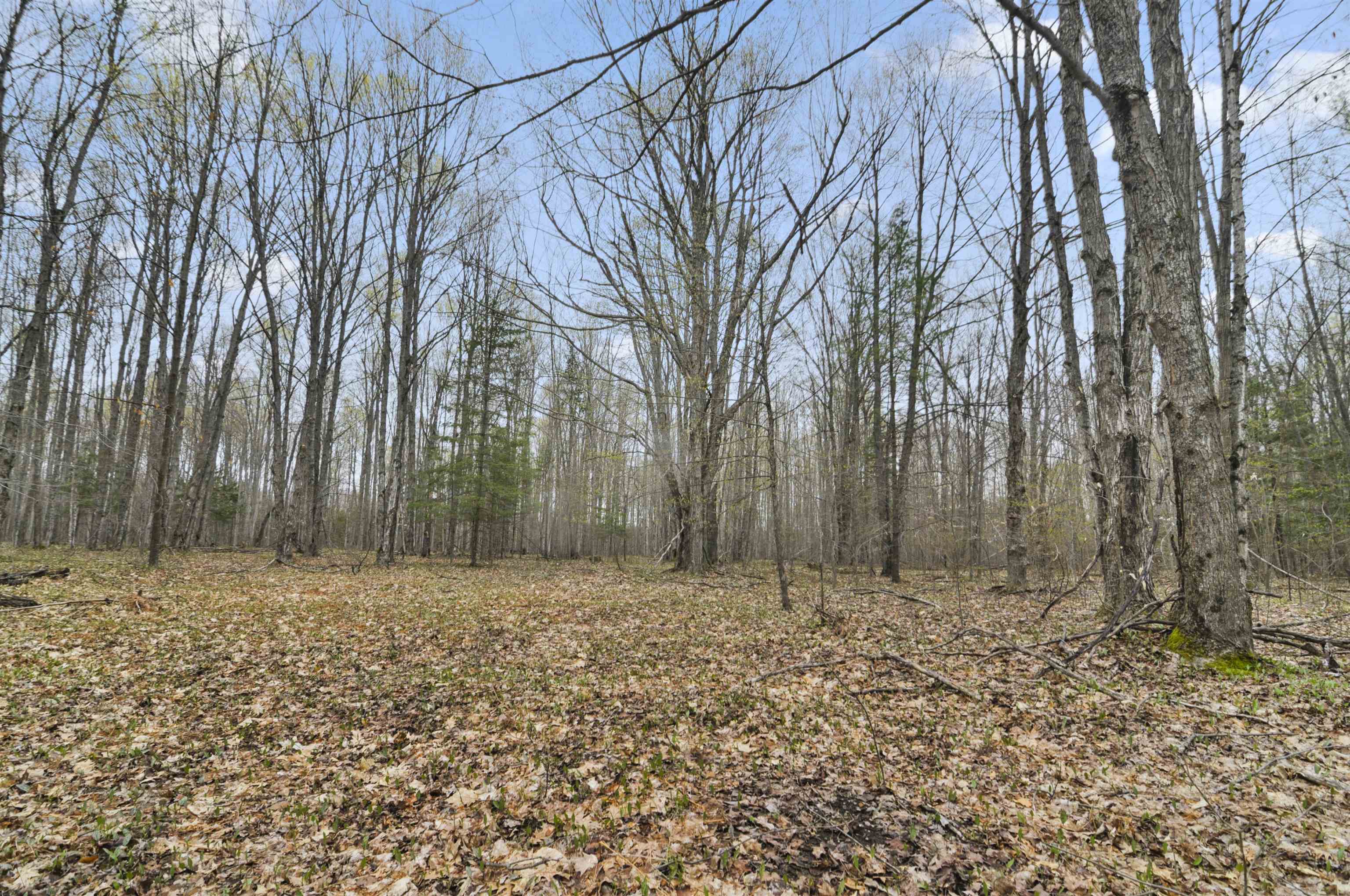 2561 East Johnson Road Lake City, MI 49651 - Photo 47 of 63