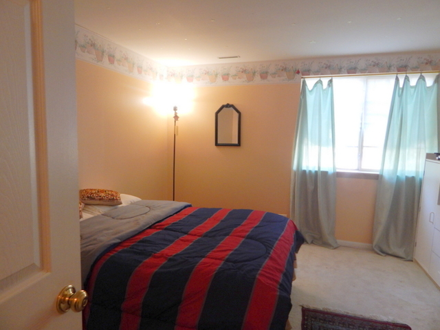 334 Newbury Lane Bolingbrook, IL 60440 - Photo 11 of 19