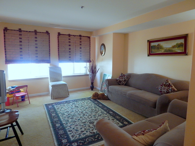 334 Newbury Lane Bolingbrook, IL 60440 - Photo 10 of 19