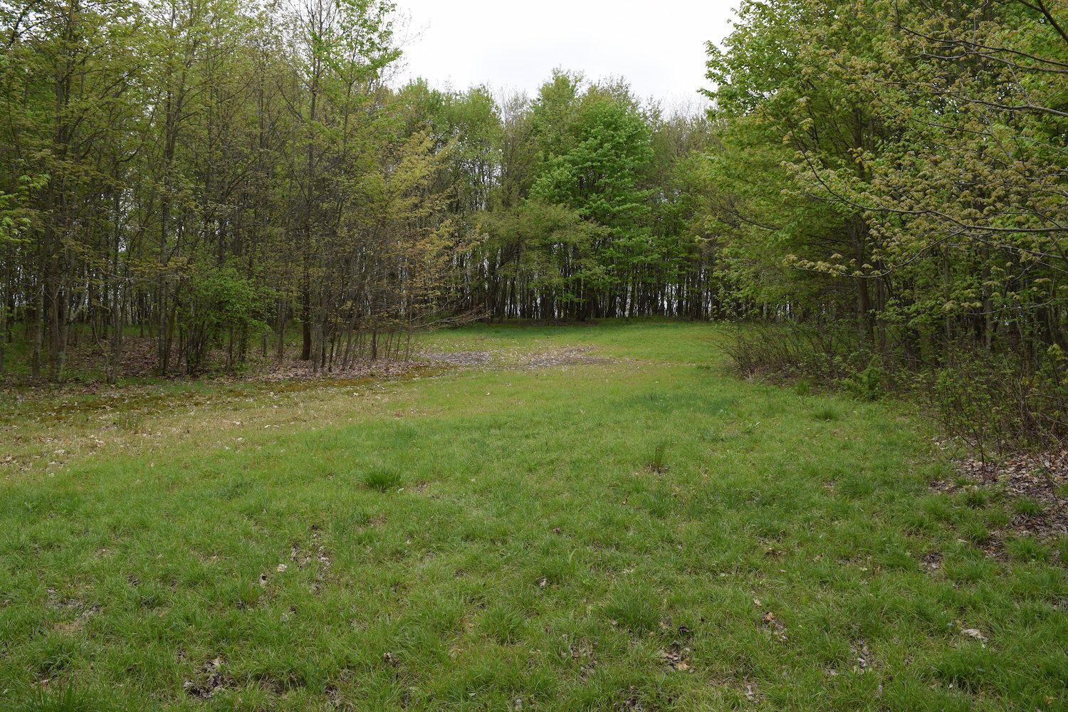 66956 Waymor Road Quaker City, OH 43773 - Photo 11 of 33