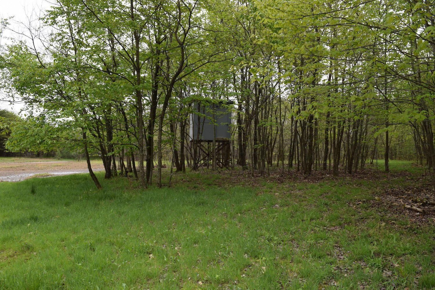 66956 Waymor Road Quaker City, OH 43773 - Photo 12 of 33