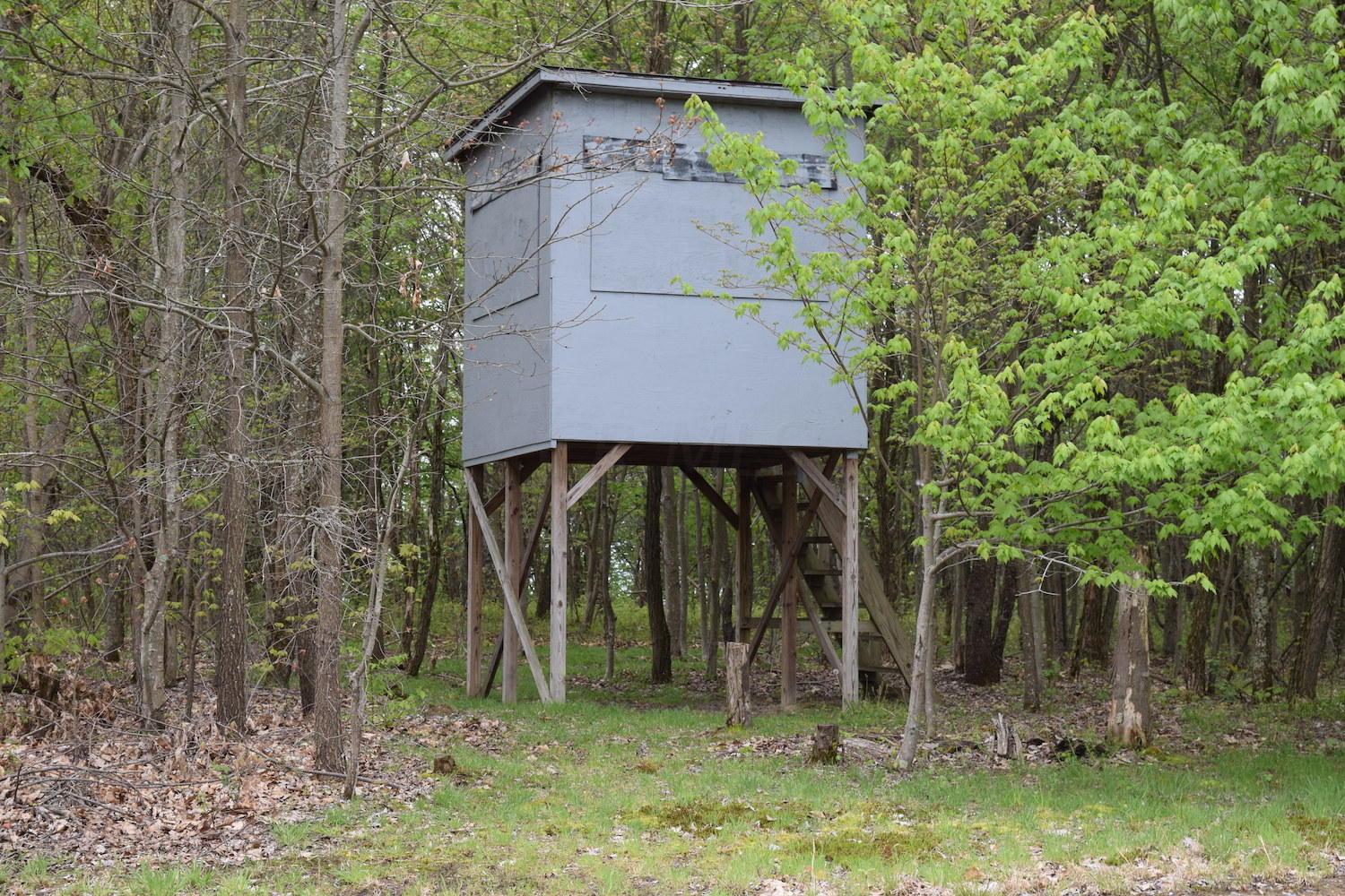 66956 Waymor Road Quaker City, OH 43773 - Photo 13 of 33