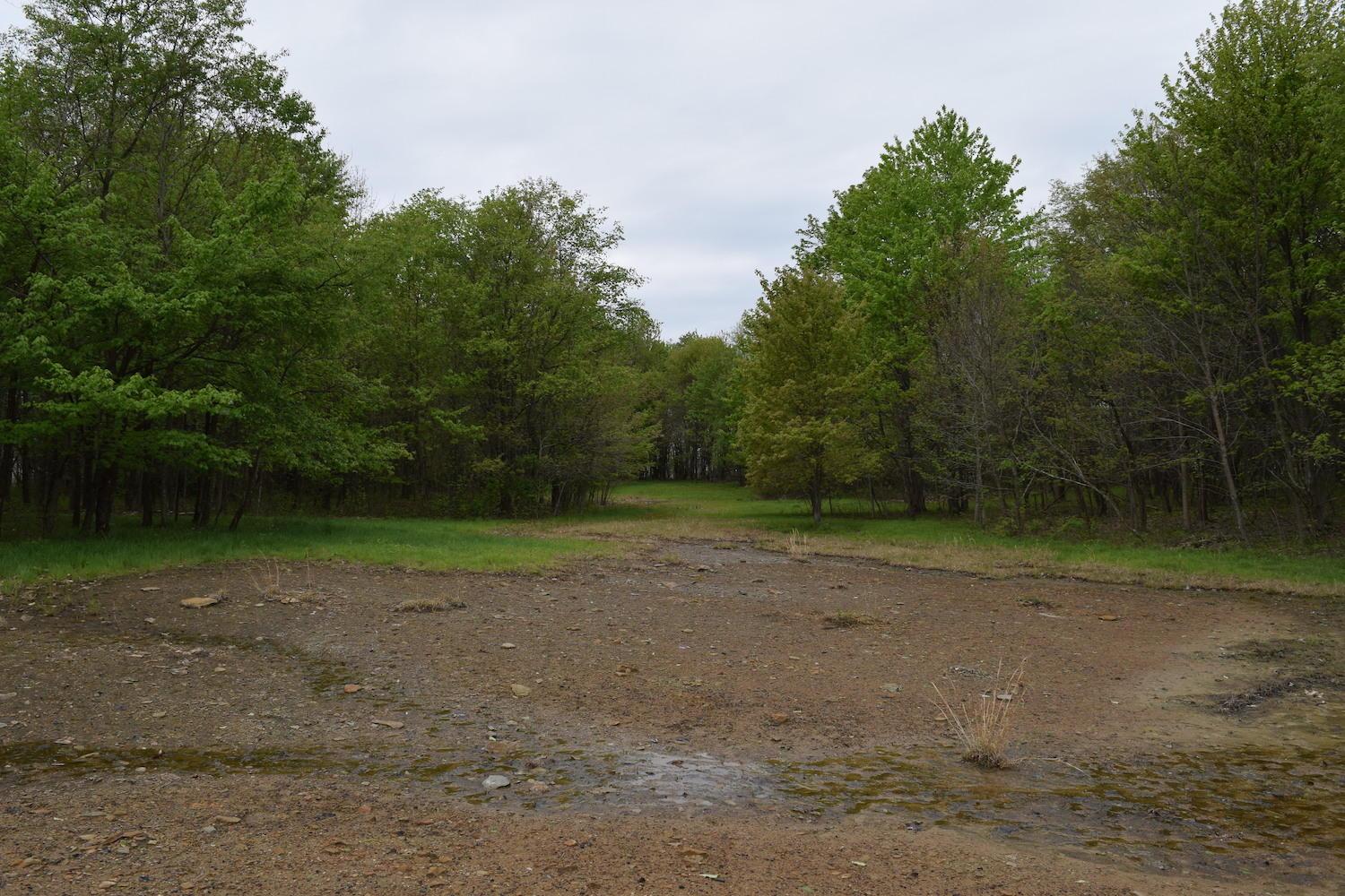 66956 Waymor Road Quaker City, OH 43773 - Photo 14 of 33