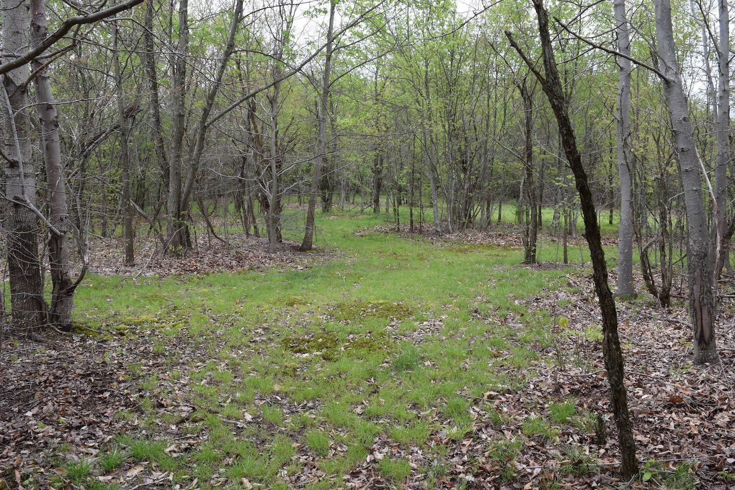 66956 Waymor Road Quaker City, OH 43773 - Photo 18 of 33