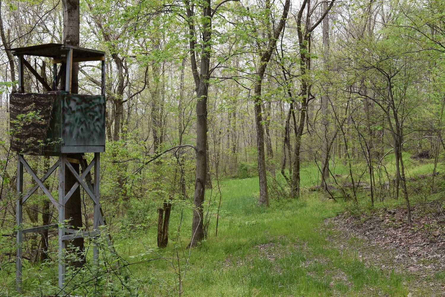 66956 Waymor Road Quaker City, OH 43773 - Photo 20 of 33