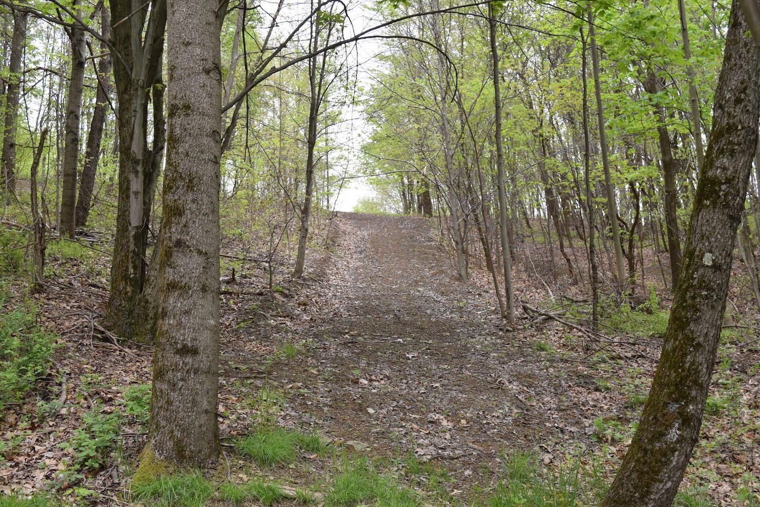 66956 Waymor Road Quaker City, OH 43773 - Photo 21 of 33