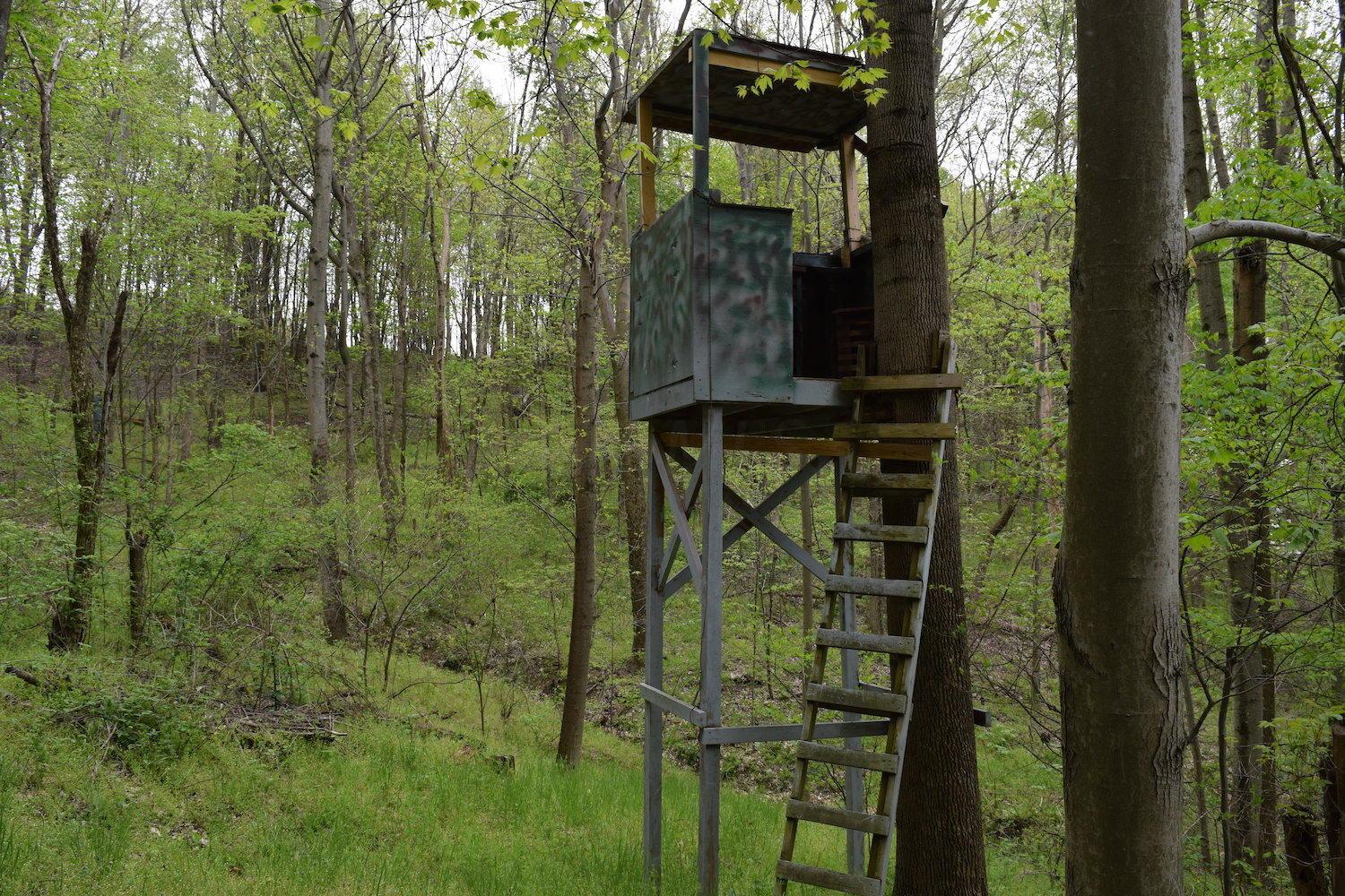 66956 Waymor Road Quaker City, OH 43773 - Photo 22 of 33