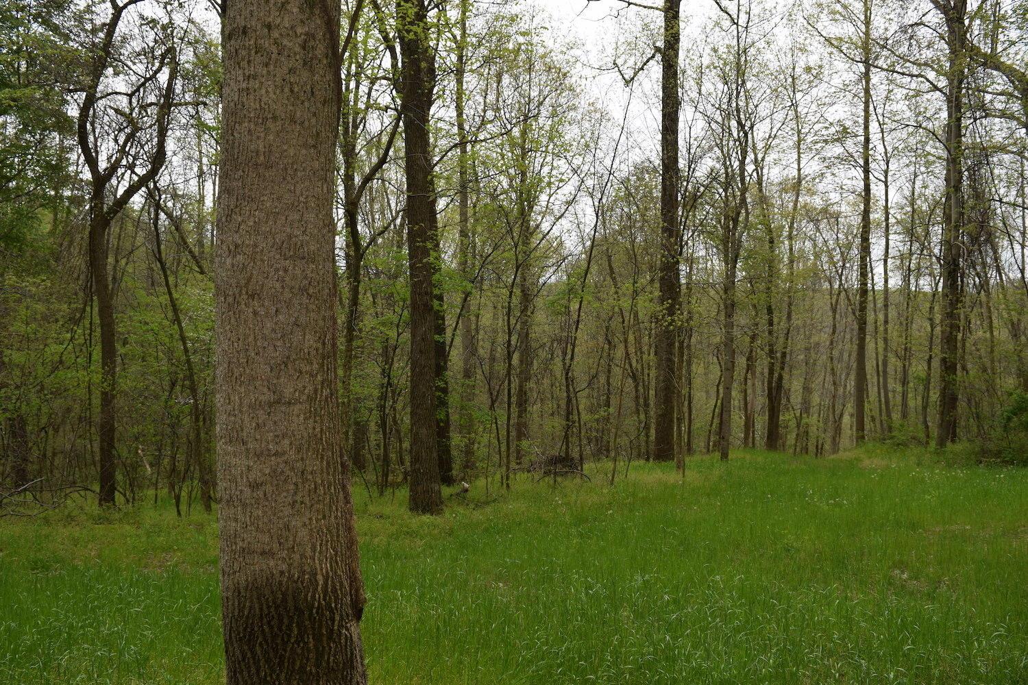 66956 Waymor Road Quaker City, OH 43773 - Photo 24 of 33