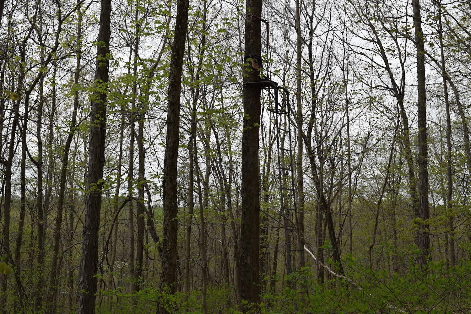 66956 Waymor Road Quaker City, OH 43773 - Photo 25 of 33