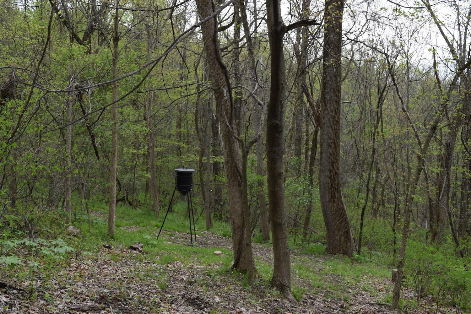 66956 Waymor Road Quaker City, OH 43773 - Photo 27 of 33