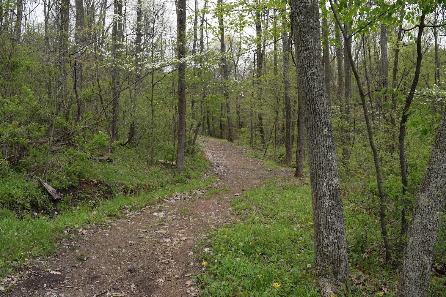 66956 Waymor Road Quaker City, OH 43773 - Photo 3 of 33