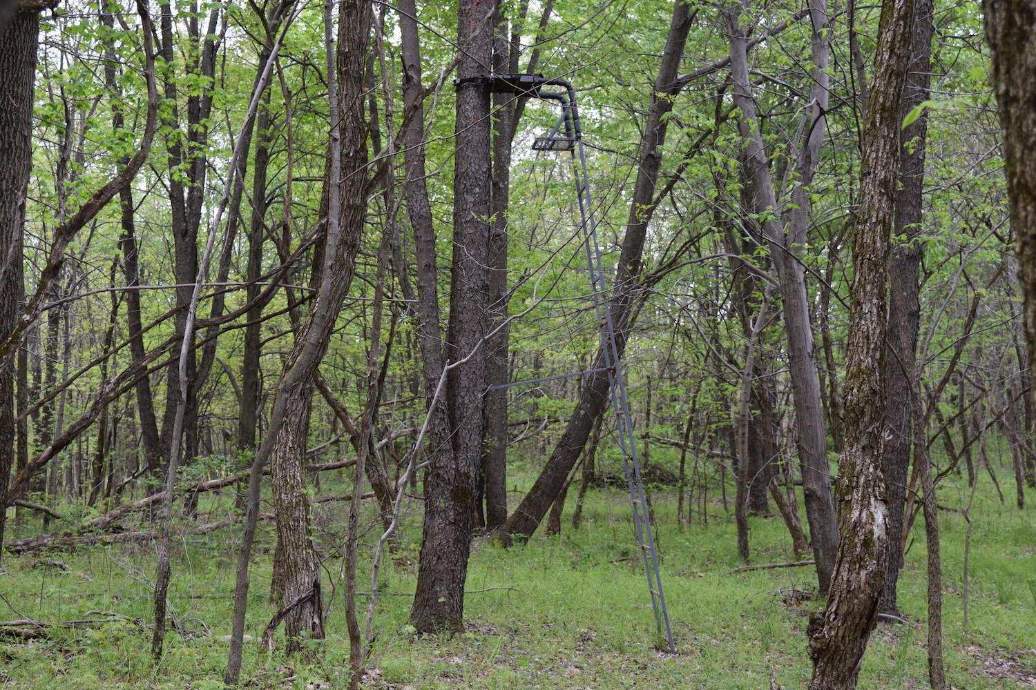 66956 Waymor Road Quaker City, OH 43773 - Photo 5 of 33