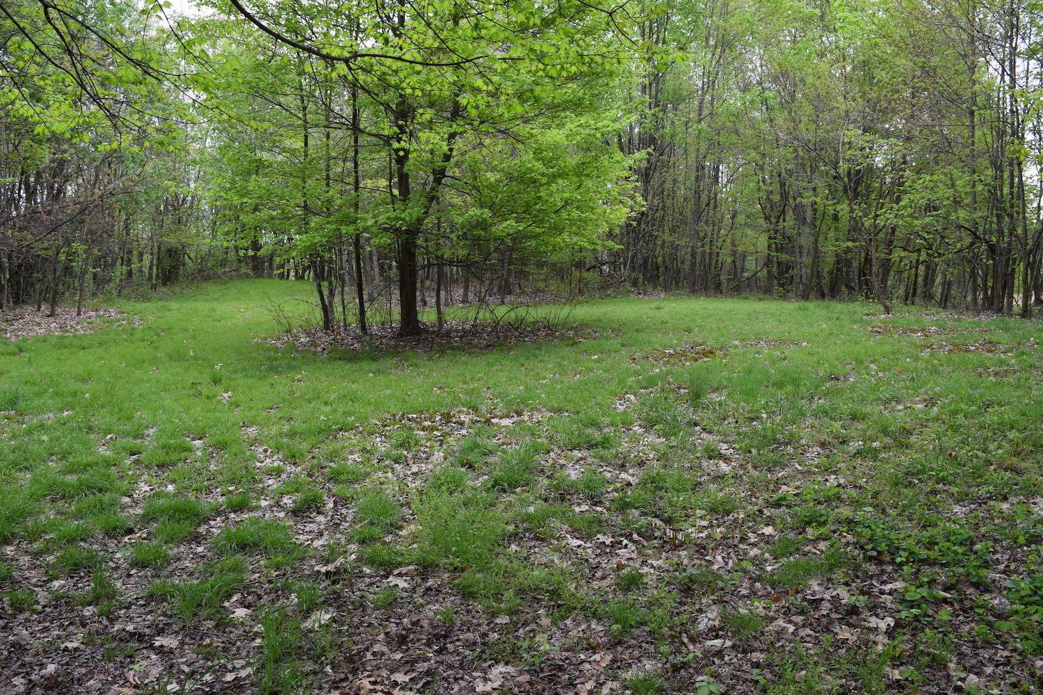 66956 Waymor Road Quaker City, OH 43773 - Photo 6 of 33