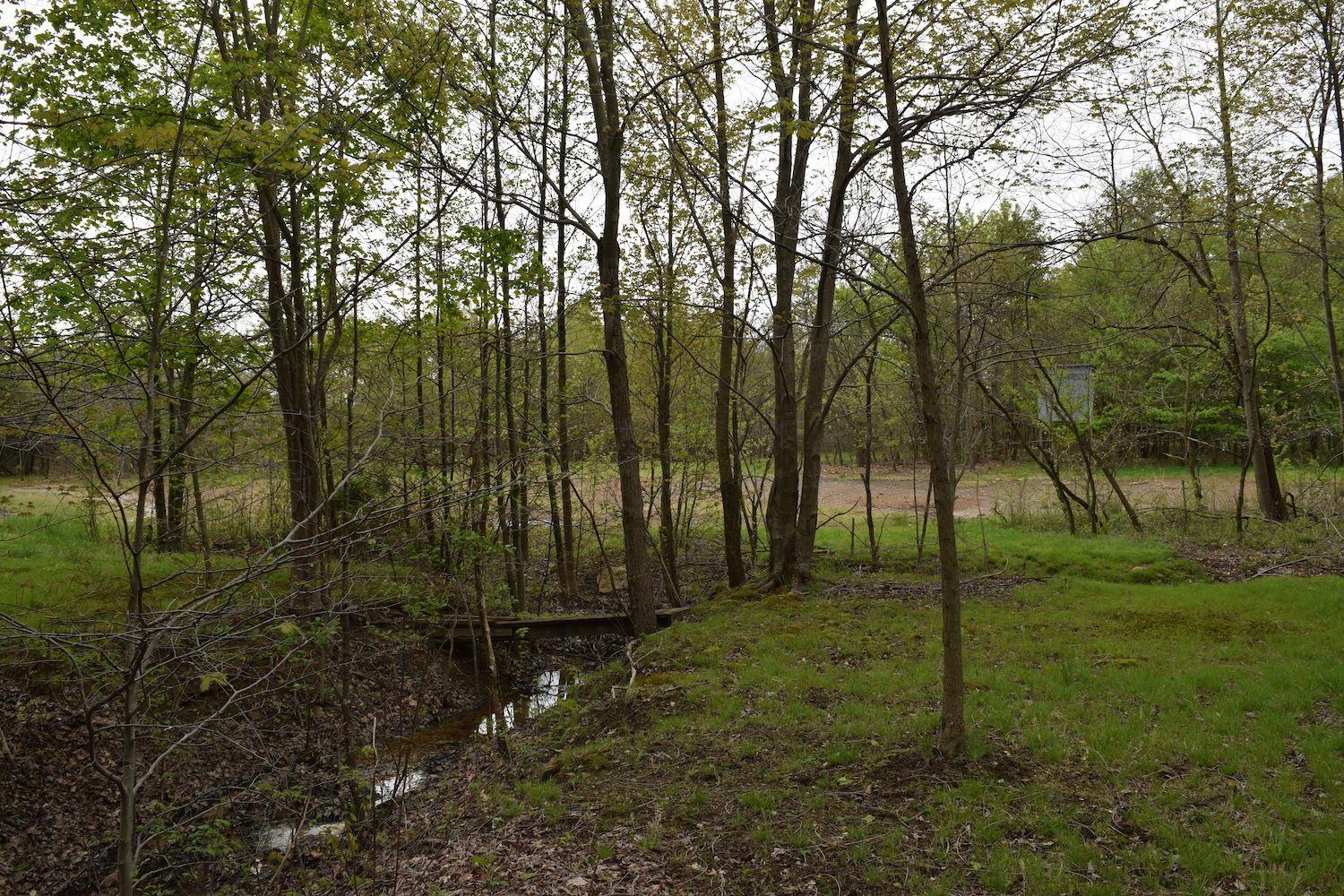 66956 Waymor Road Quaker City, OH 43773 - Photo 8 of 33