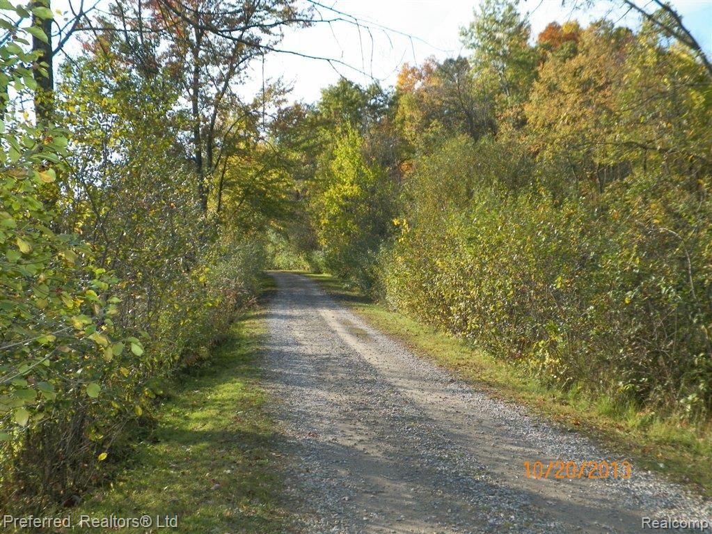 11180 Rivendell Court Pinckney, MI 48169 - Photo 9 of 35 Enjoy the Nature Trails...