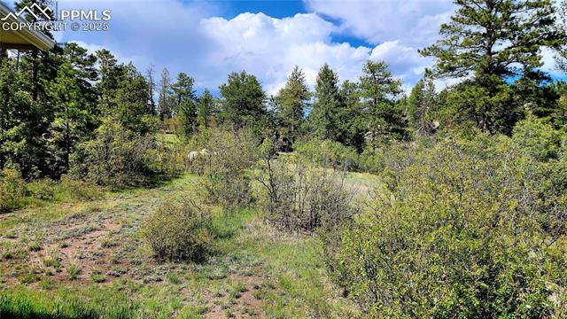 324 Pike View Road Florissant, CO 80816 - Photo 14 of 23