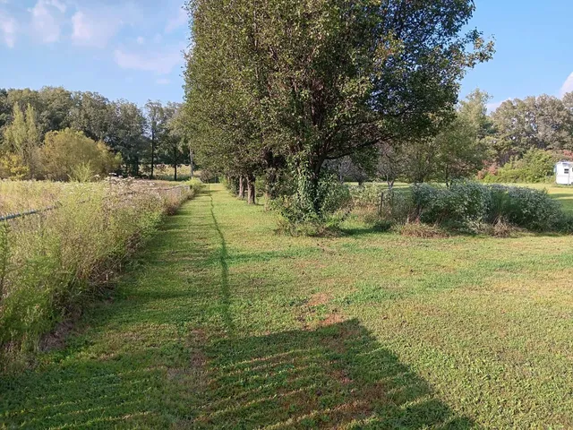 a view of outdoor space and trees