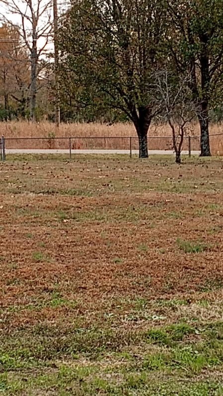 650 Point Mason Road Big Sandy, TN 38221 - Photo 4 of 4 a view of ocean view