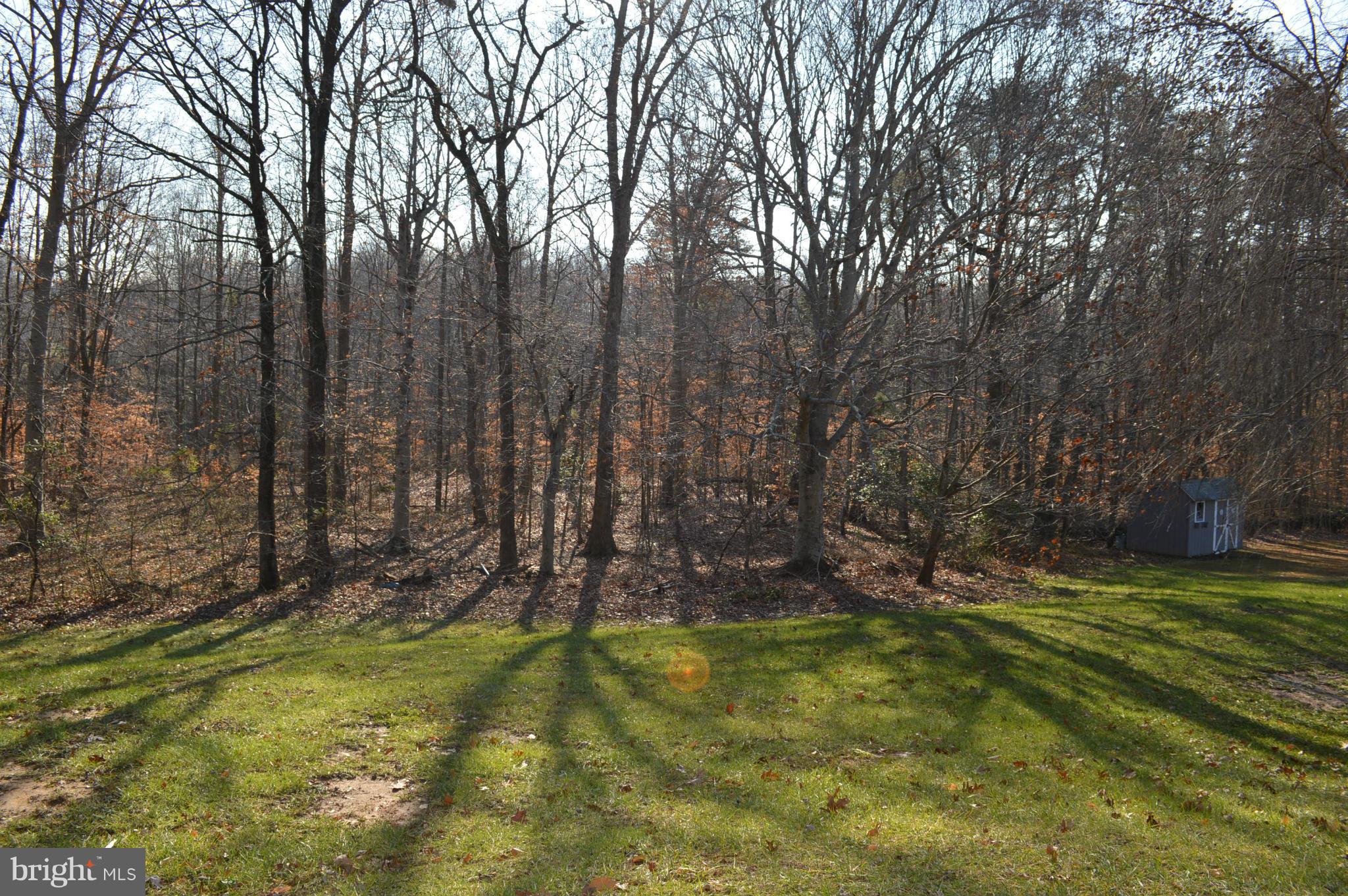 13726 Palm Road Woodbridge, VA 22193 - Photo 3 of 22 View