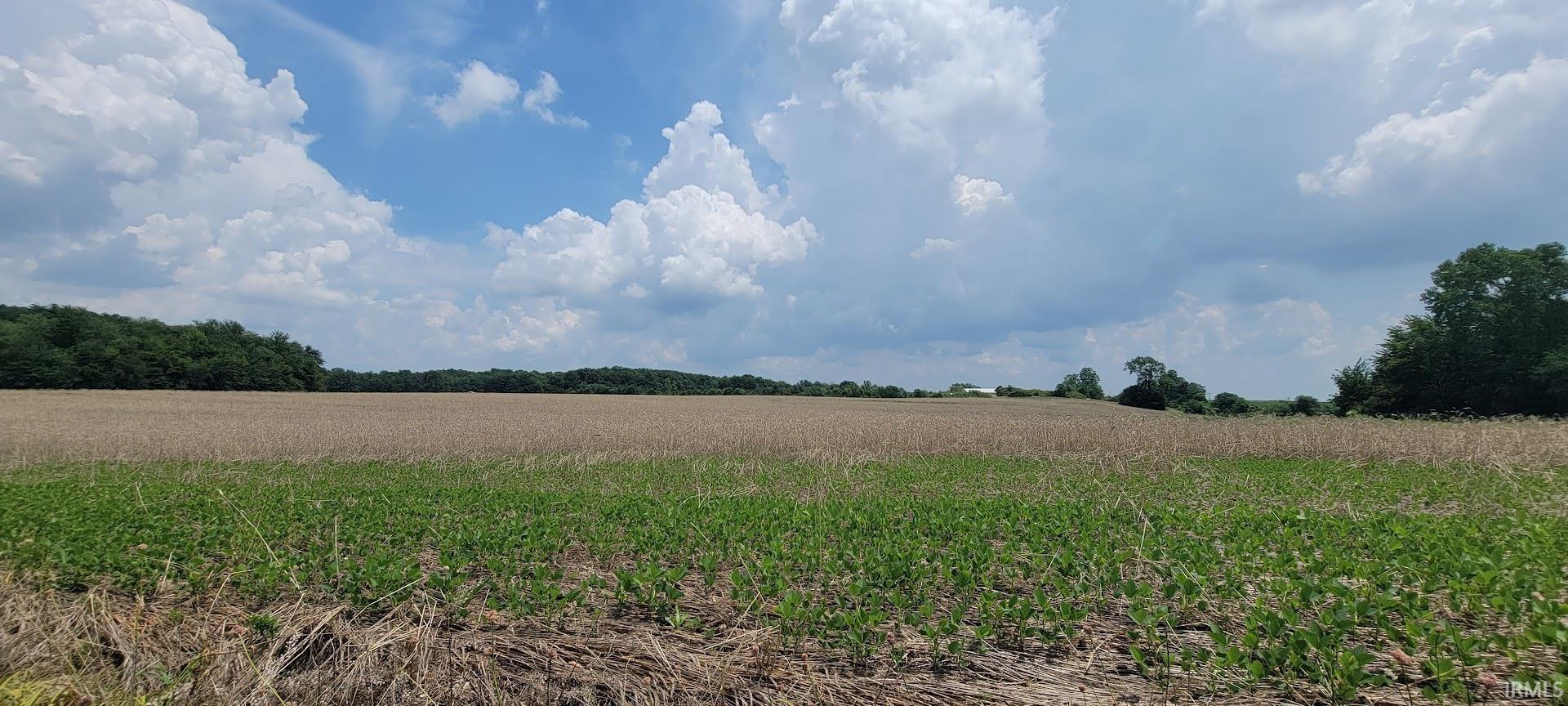 4250 West Base Road Switz City, IN 47465 - Photo 14 of 19 Gallery Image 14