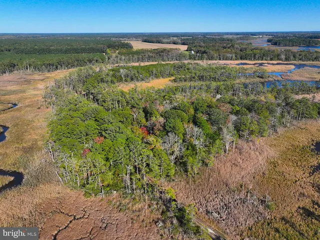 $1,799,750 | 163 Hall Road, Pocomoke City, MD 21851