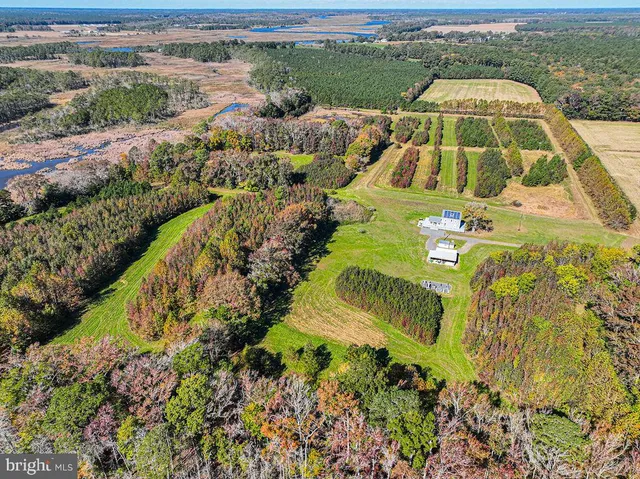 $1,799,750 | 163 Hall Road, Pocomoke City, MD 21851