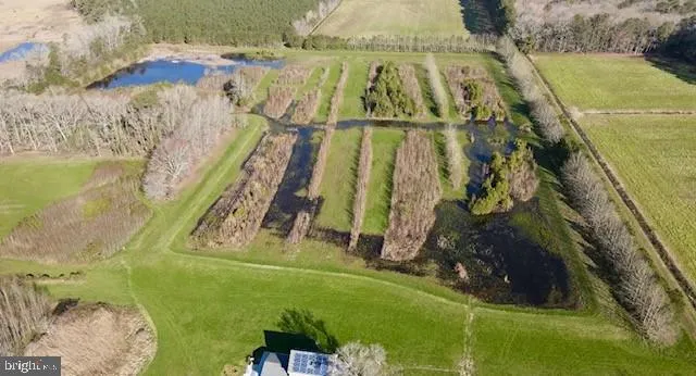 $1,799,750 | 163 Hall Road, Pocomoke City, MD 21851