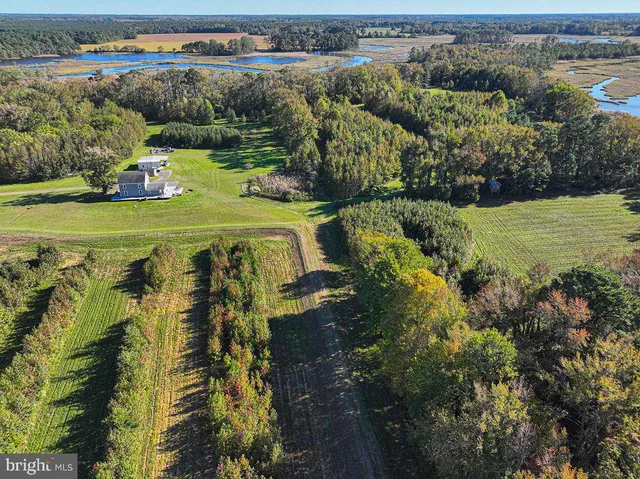 $1,799,750 | 163 Hall Road, Pocomoke City, MD 21851