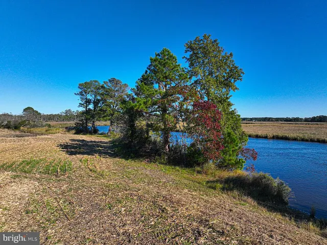 $1,799,750 | 163 Hall Road, Pocomoke City, MD 21851