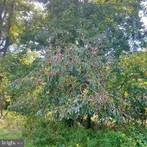 $1,799,750 | 163 Hall Road, Pocomoke City, MD 21851