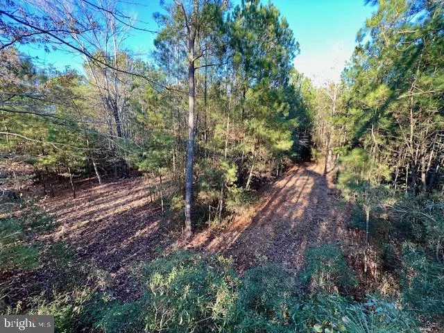 $1,799,750 | 163 Hall Road, Pocomoke City, MD 21851