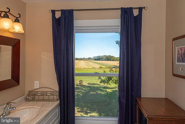 a view of a yard with plants and a large tree
