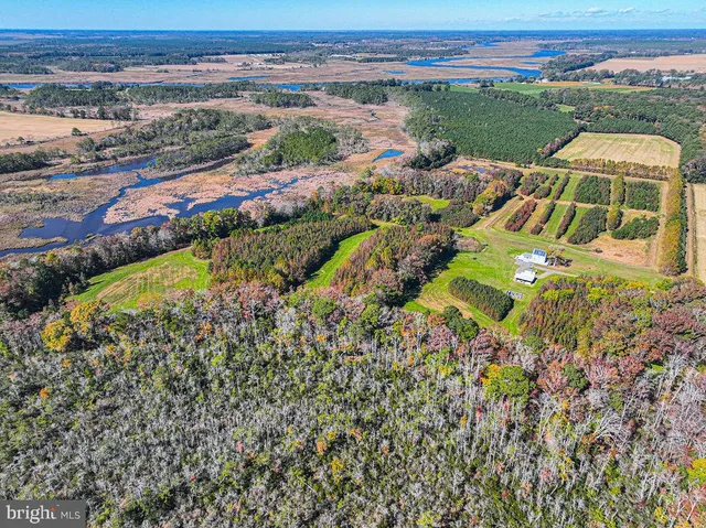 a kitchen with stainless steel appliances granite countertop a stove top oven a sink dishwasher and wooden cabinets with wooden floor