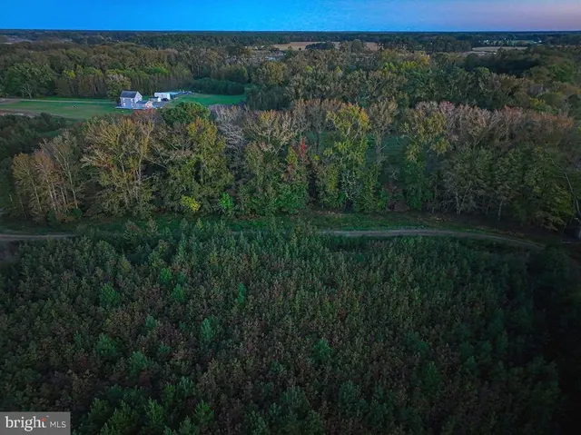 $1,799,750 | 163 Hall Road, Pocomoke City, MD 21851