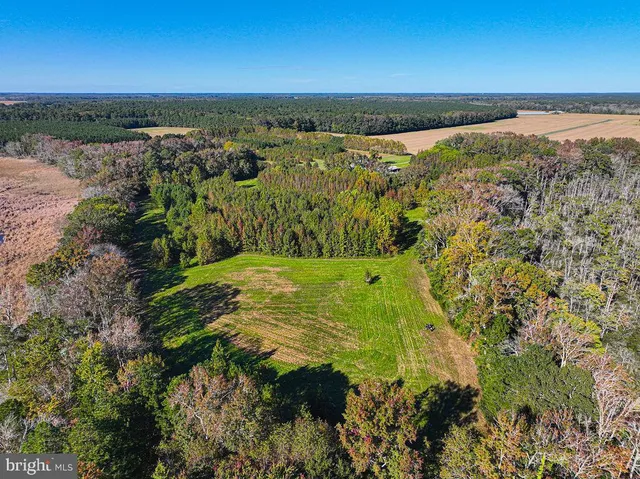 $1,799,750 | 163 Hall Road, Pocomoke City, MD 21851