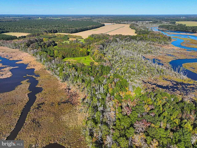 $1,799,750 | 163 Hall Road, Pocomoke City, MD 21851