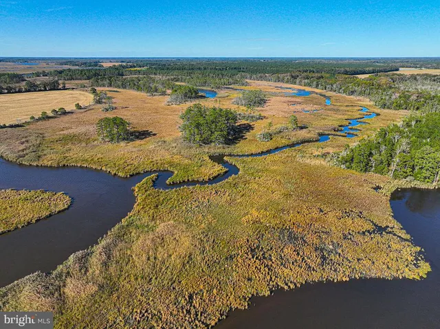 $1,799,750 | 163 Hall Road, Pocomoke City, MD 21851