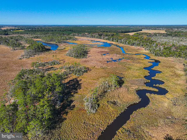 $1,799,750 | 163 Hall Road, Pocomoke City, MD 21851