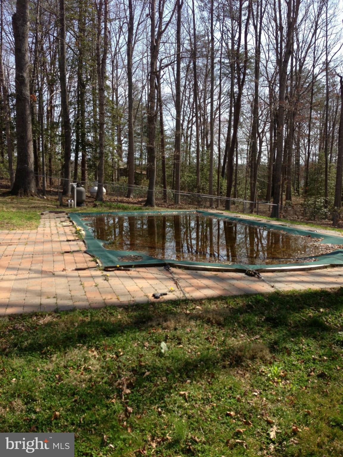 7602 River Road Fredericksburg, VA 22407 - Photo 6 of 7 a view of swimming pool with trees