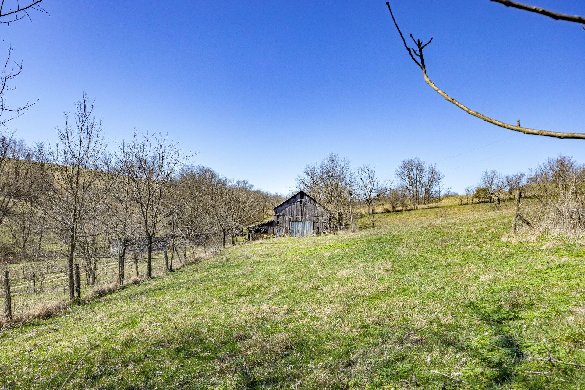 1300 Lower Concord Road Carlisle, KY 40311 - Photo 31 of 41 5B5A1231