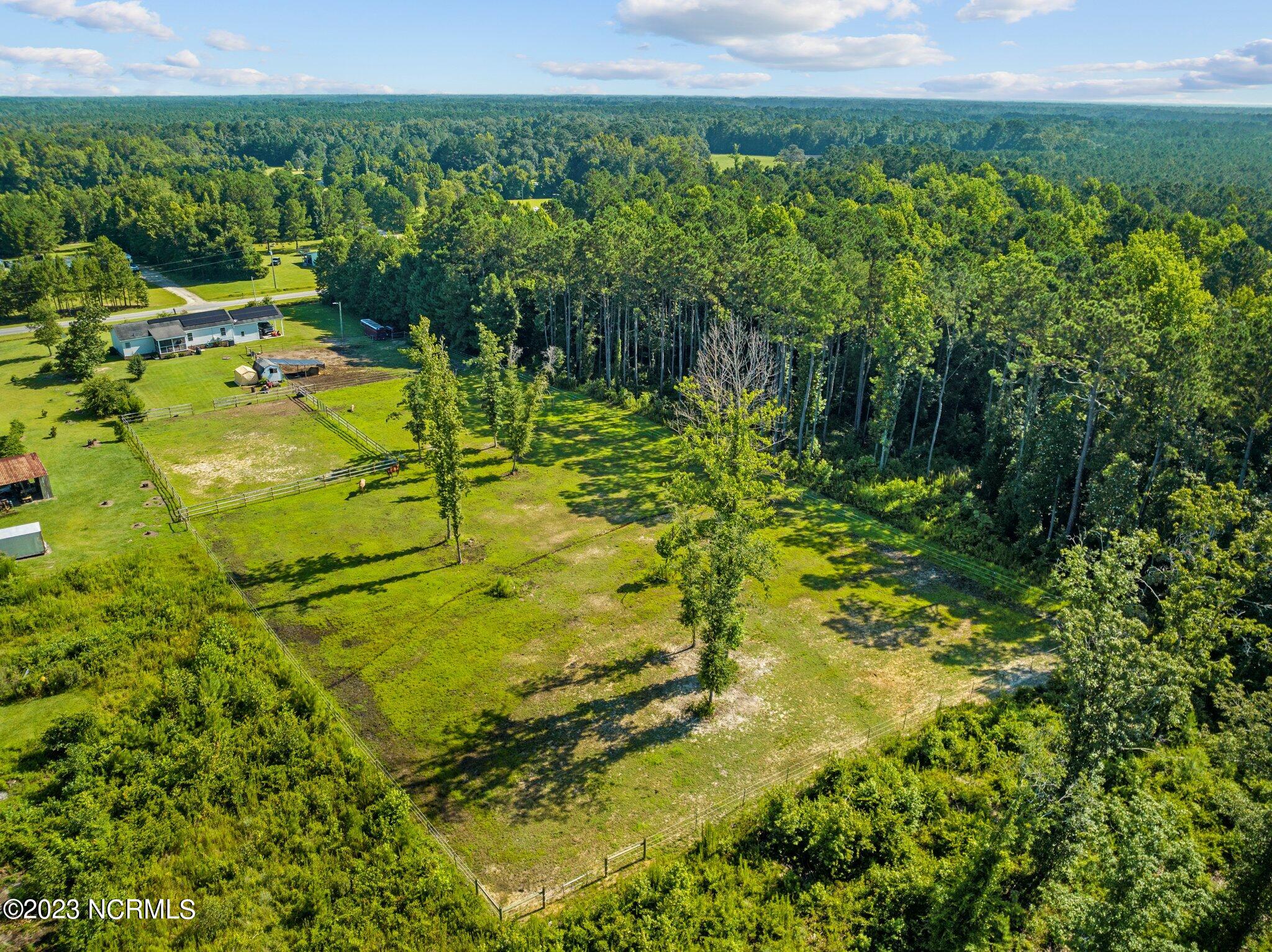 492 North Chubb Road Willard, NC 28478 - Photo 19 of 69 19-web-or-mls-DJI_0621