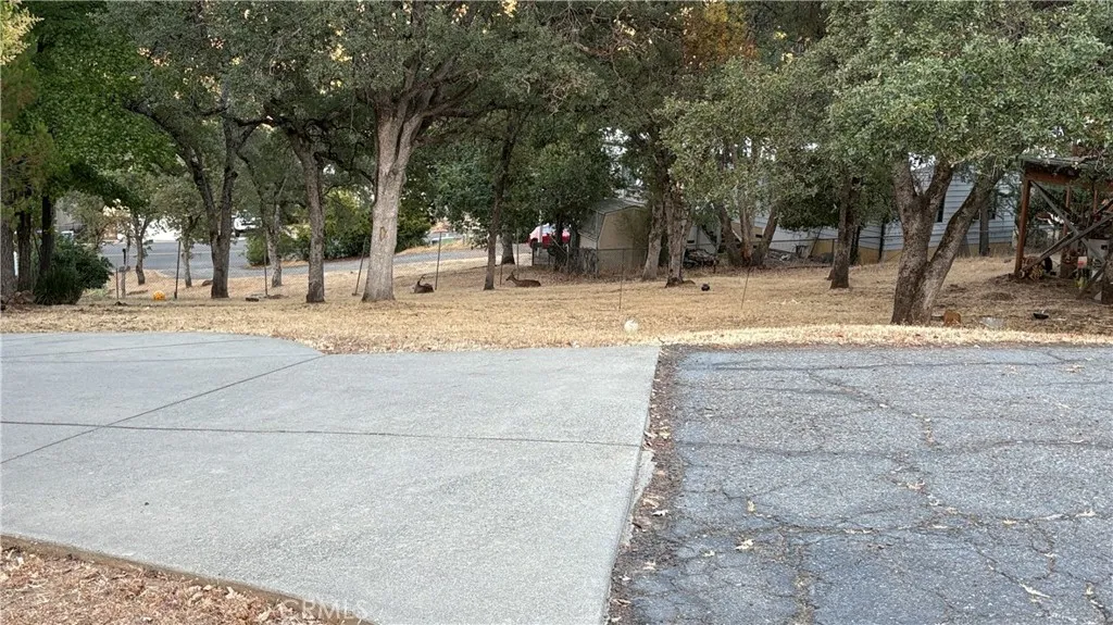 34 Coho Oroville, CA 95966 - Photo 2 of 4 a view of a yard with a trees