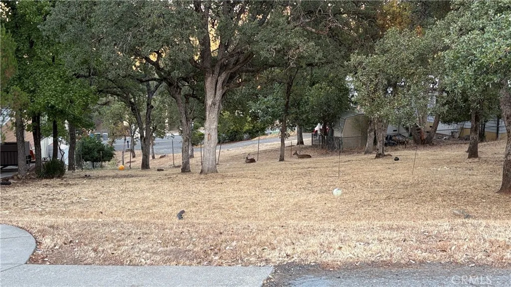 34 Coho Oroville, CA 95966 - Photo 3 of 4 a view of a yard with snow