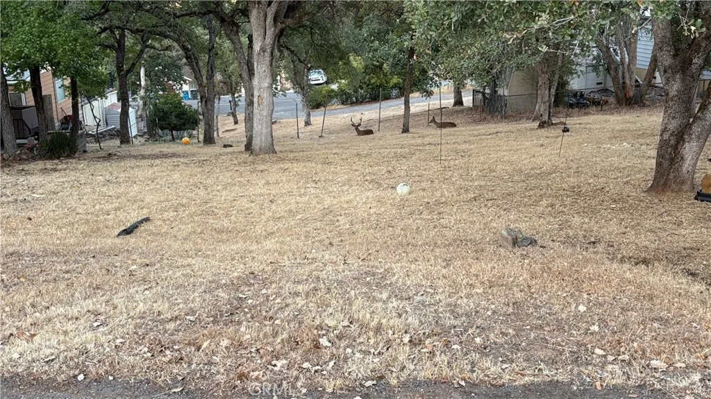 34 Coho Oroville, CA 95966 - Photo 4 of 4 a house with trees in front of it